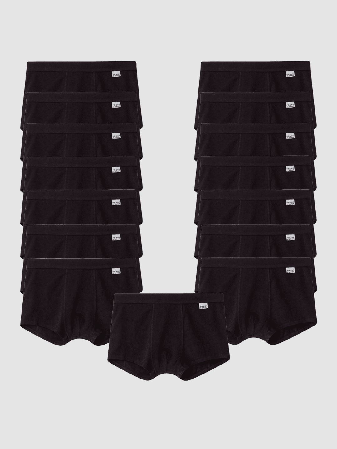 15-Pack Bamboo Trunk