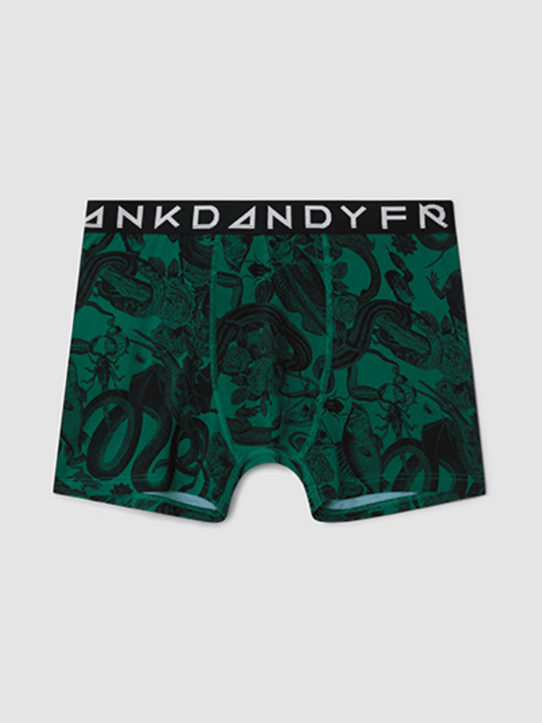 Reptile Boxer