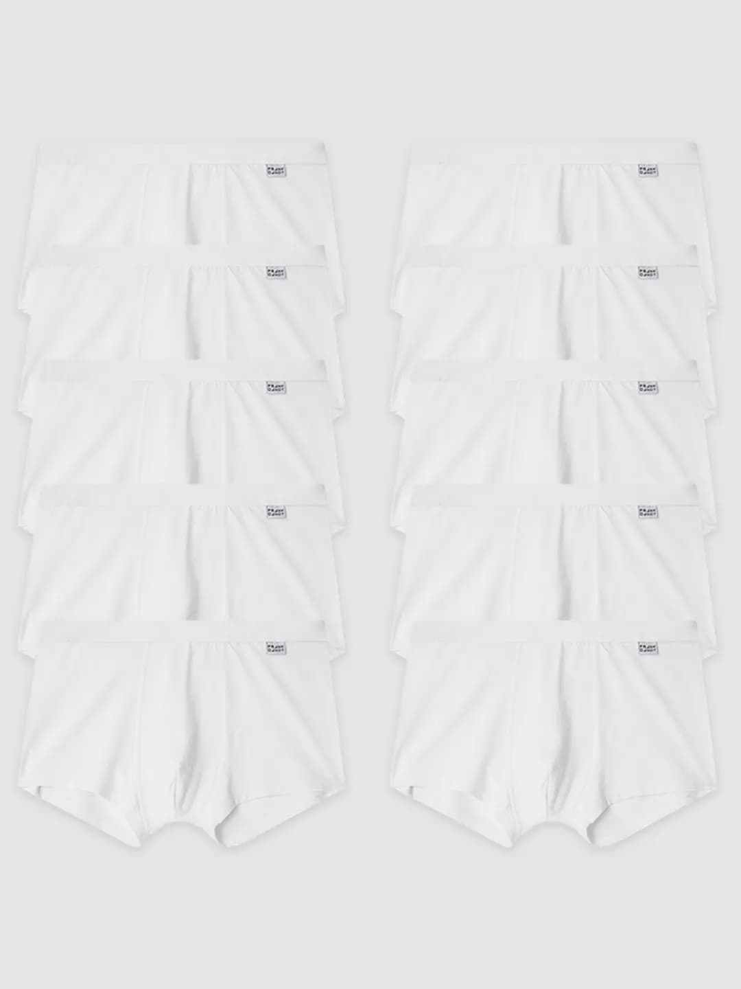 10-pack Bamboo trunk