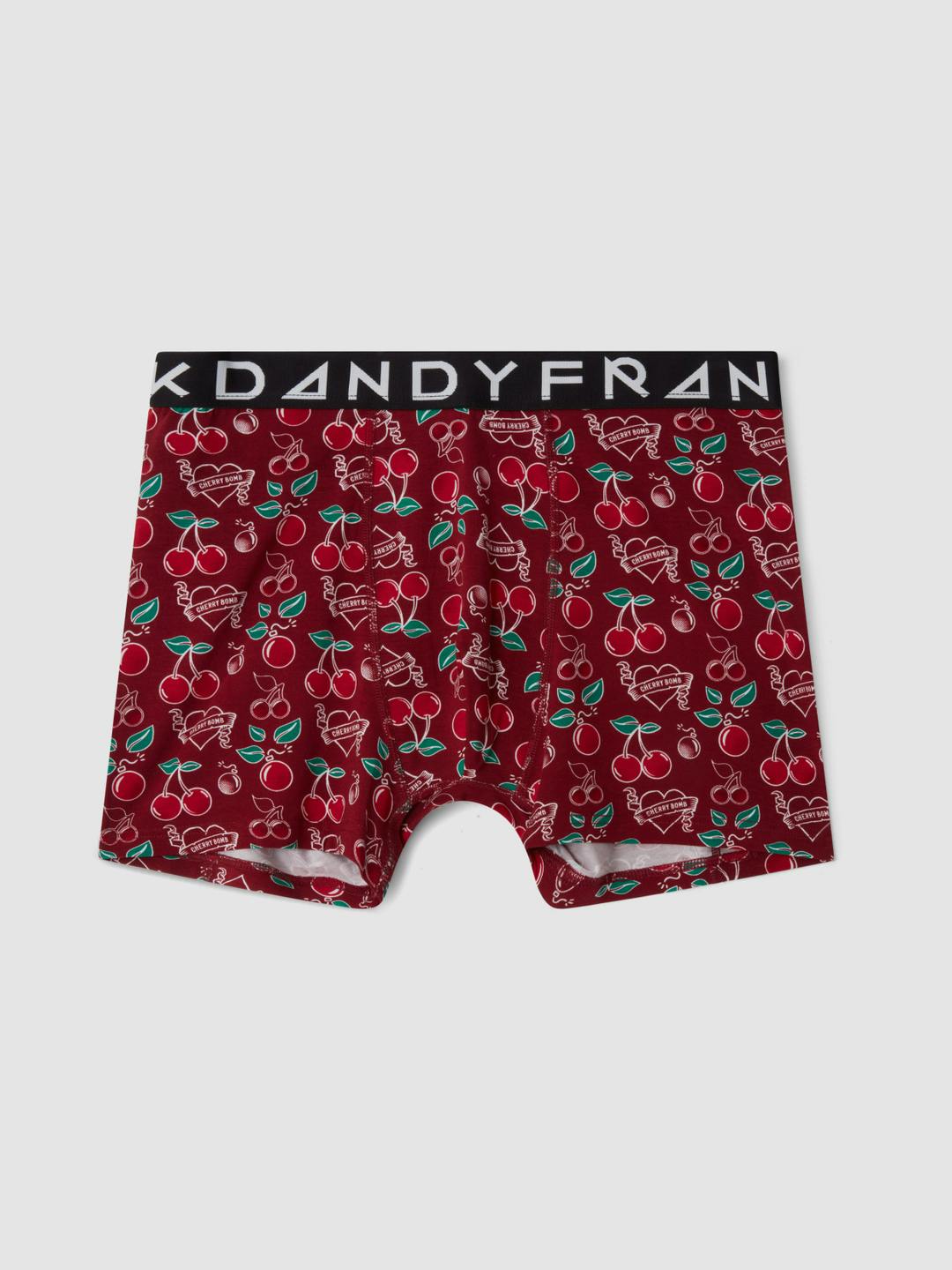 Men's Cherry Brief Underwear